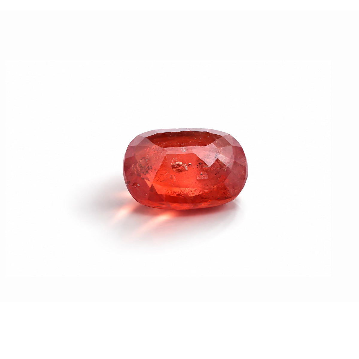 test (Kopya) (Kopya)