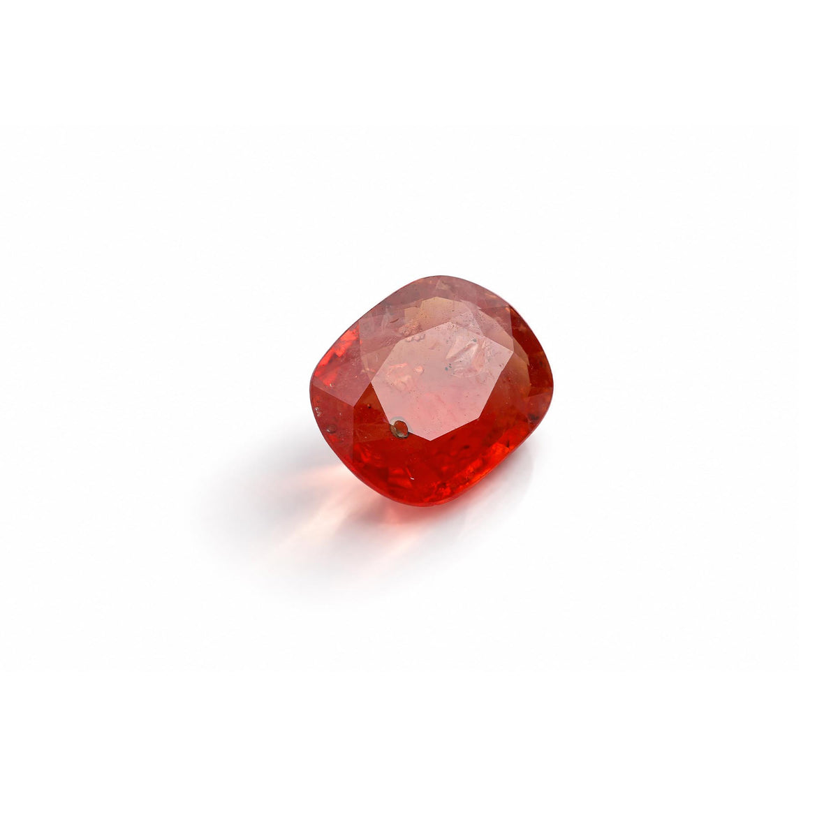 test (Kopya) (Kopya)