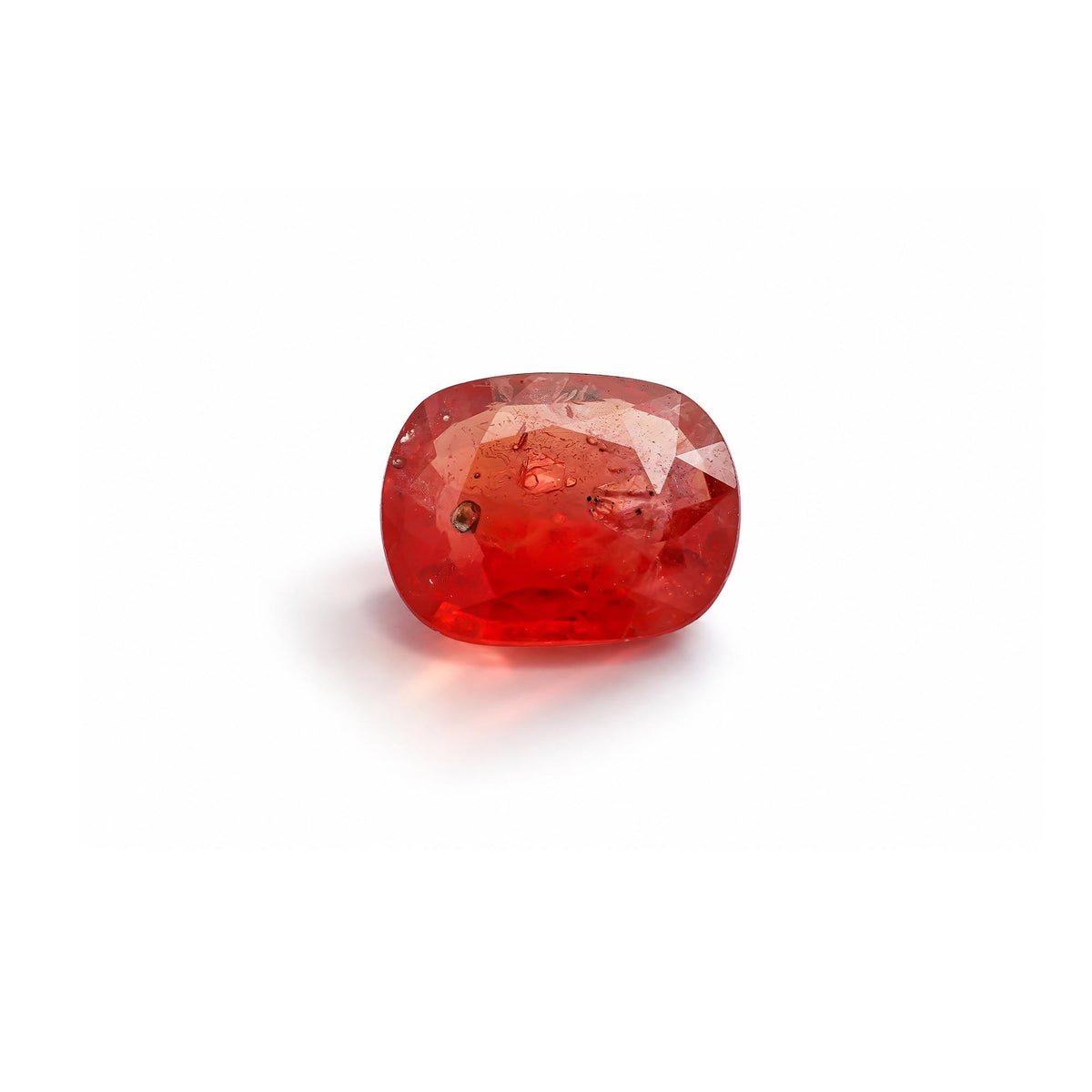 test (Kopya) (Kopya)